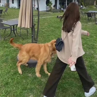 变脸